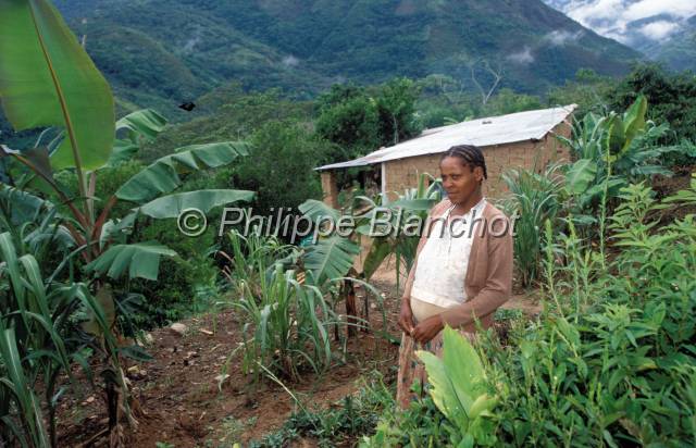yungas bolivie  06.JPG - Femme Morena (Noire)Tocana CoroicoYungas de Bolivie